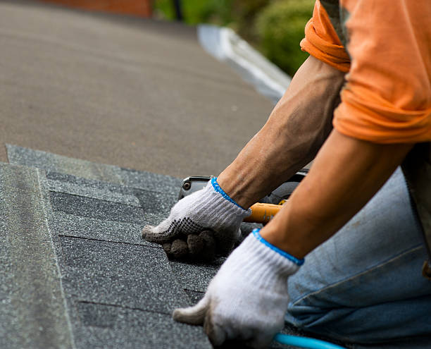 Best Commercial Roofing Services  in Freeport, IL